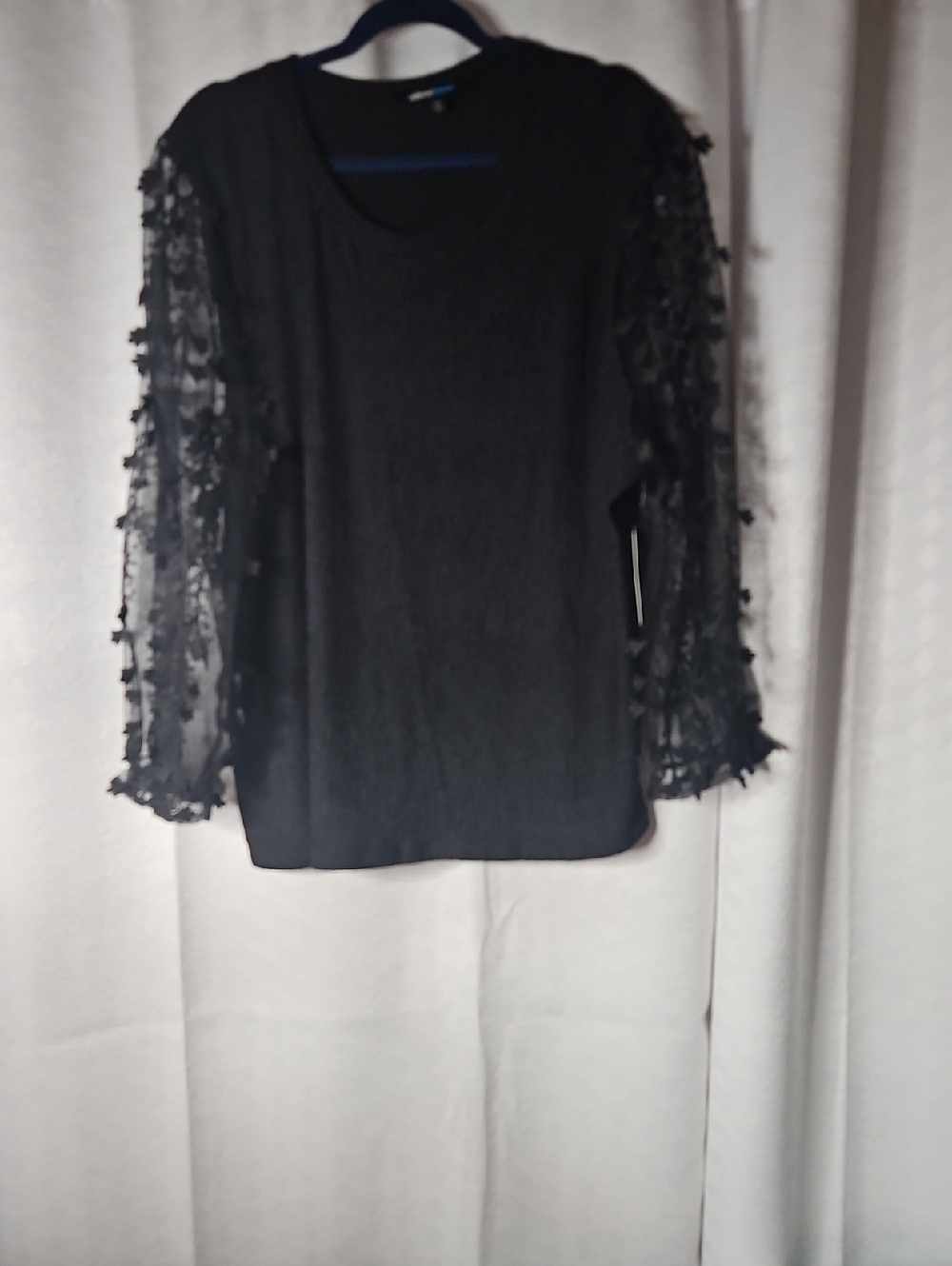 Alice Blue Black Sheer Petal-Sleeve Long Sleeve Top